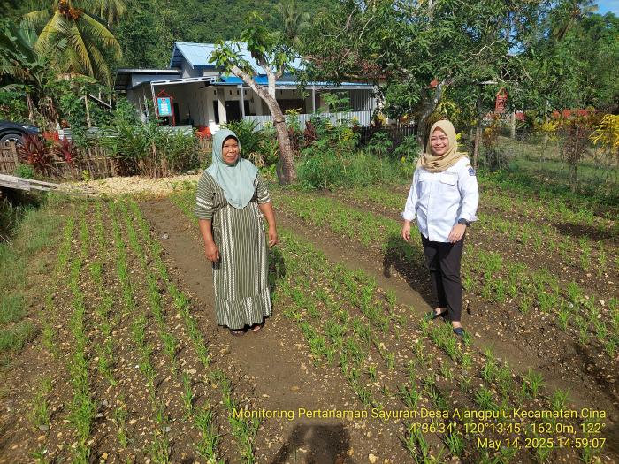 PEMANFAATAN LAHAN PEKARANGAN