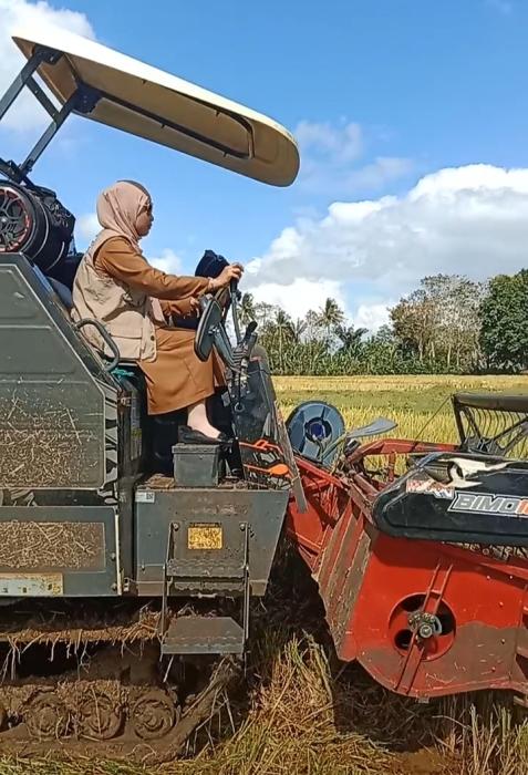Combine Harvester untuk Panen Padi