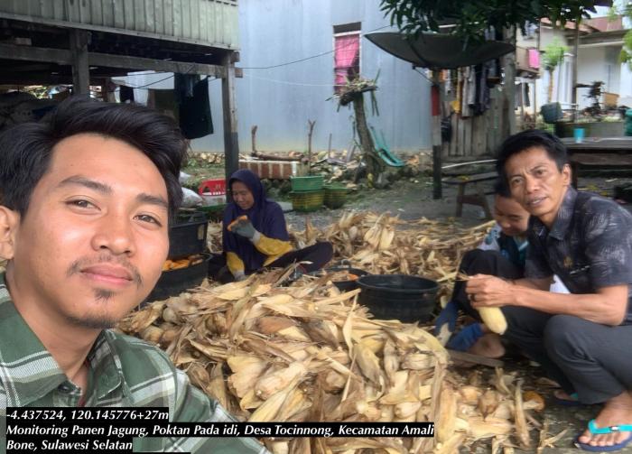 PENANGANAN PASCA PANEN JAGUNG