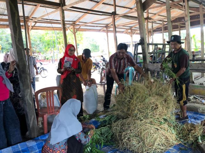 Pemanfaatan Pupuk Kompos untuk Pertanian Berkelanjutan