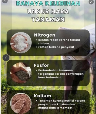 Dampak Kelebihan Unsur Hara